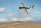 Warbirds 3.jpg